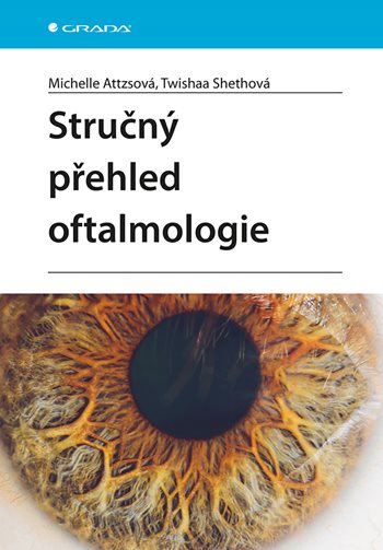 Obrazok Stručný přehled oftalmologie