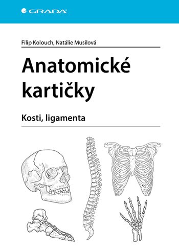 Obrázok Anatomické kartičky