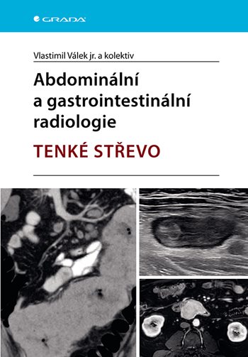 Obrázok Abdominální a gastrointestinální radiologie