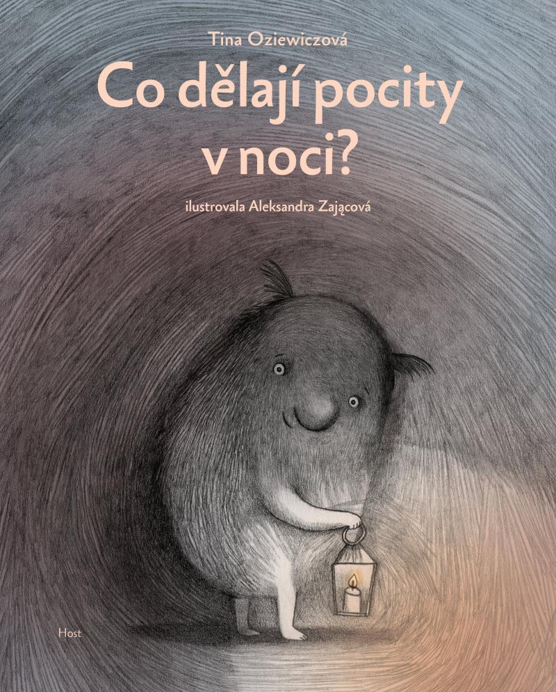 Obrázok Co dělají pocity v noci?