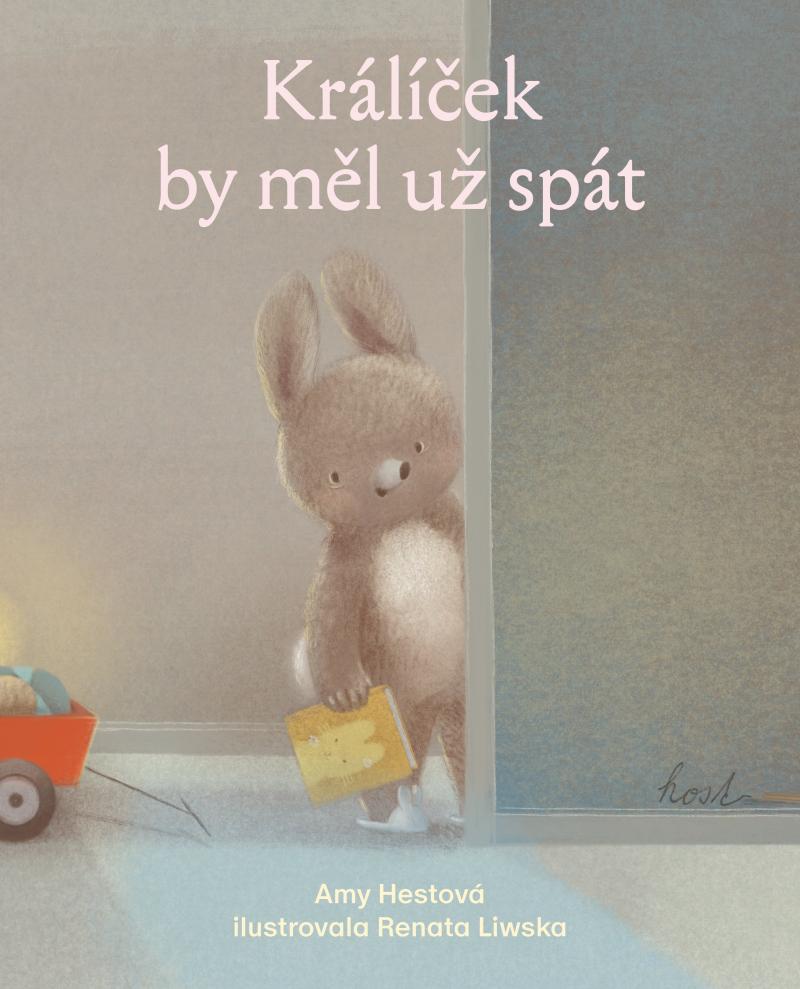 Obrázok Králíček by měl už spát