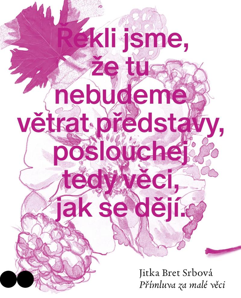 Obrázok Přímluva za malé věci