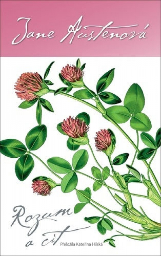 Obrázok Rozum a cit