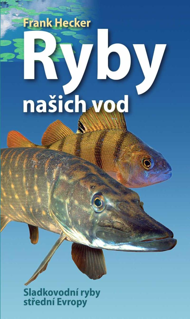 Obrázok Ryby našich vod - Sladkovodní ryby střední Evropy