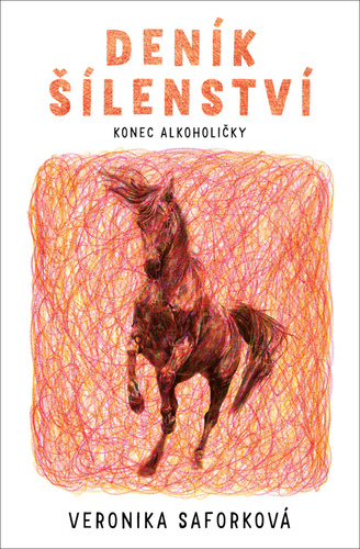 Obrázok Deník šílenství