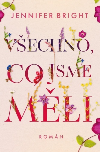 Obrázok Všechno, co jsme měli