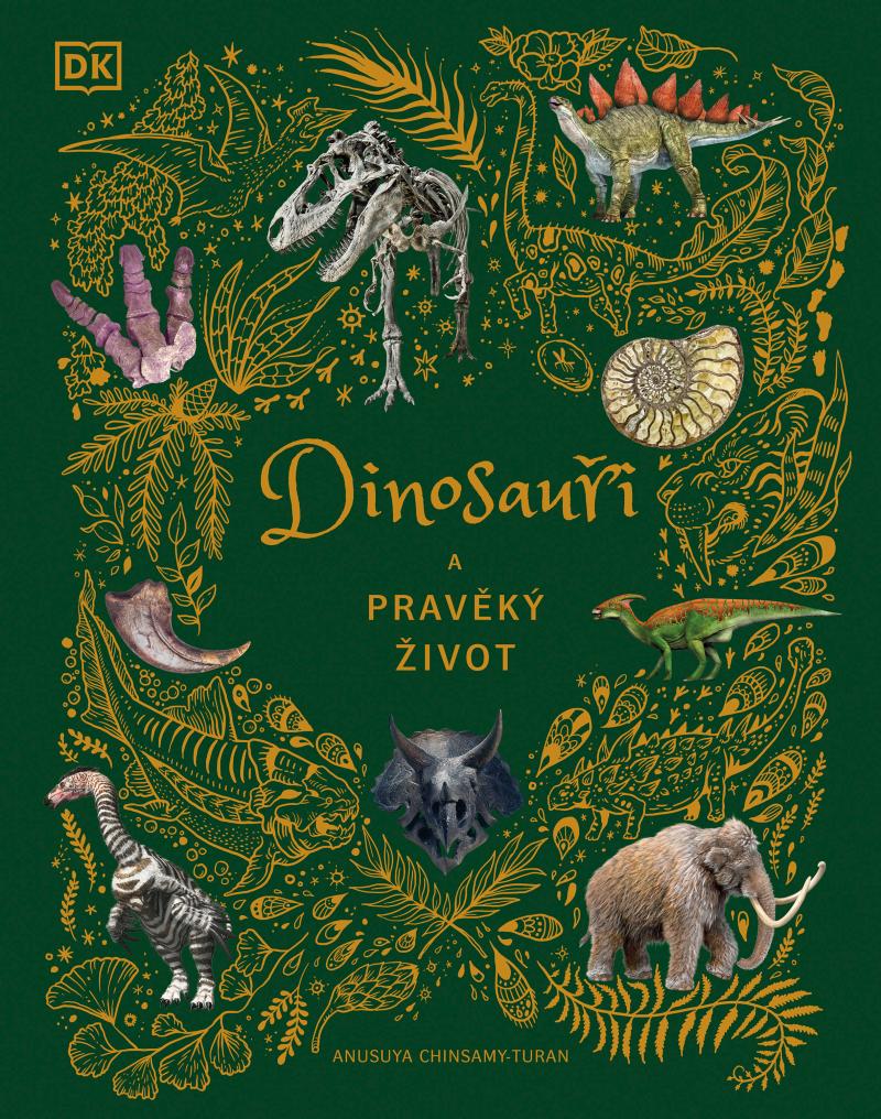Obrázok Dinosauři a pravěký život