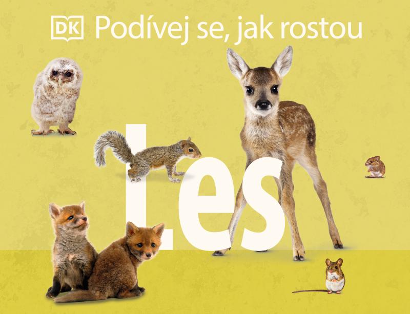 Obrázok Podívej se, jak rostou: Les