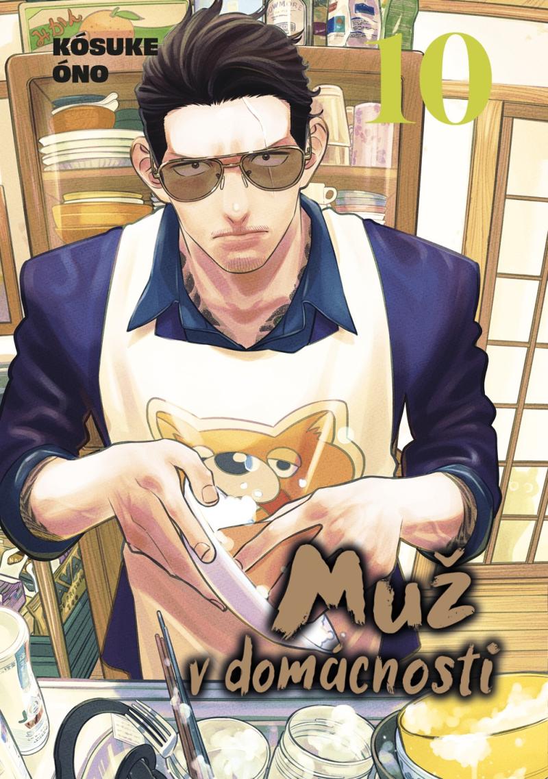 Obrázok Muž v domácnosti 10