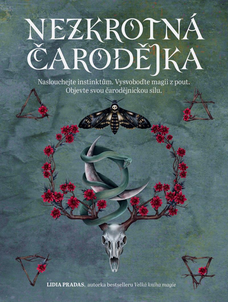 Obrázok Nezkrotná čarodějnice