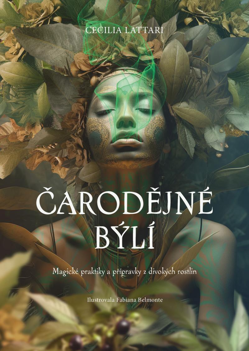 Obrázok Čarodějné býlí