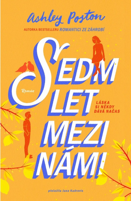 Obrázok Sedm let mezi námi