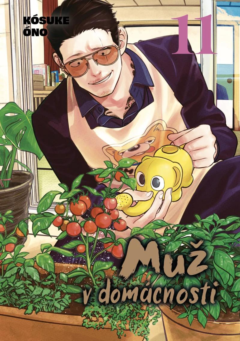 Obrázok Muž v domácnosti 11