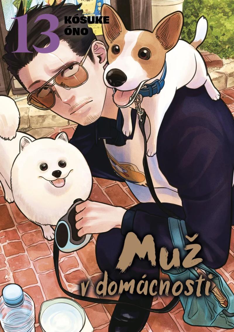 Obrázok Muž v domácnosti 13