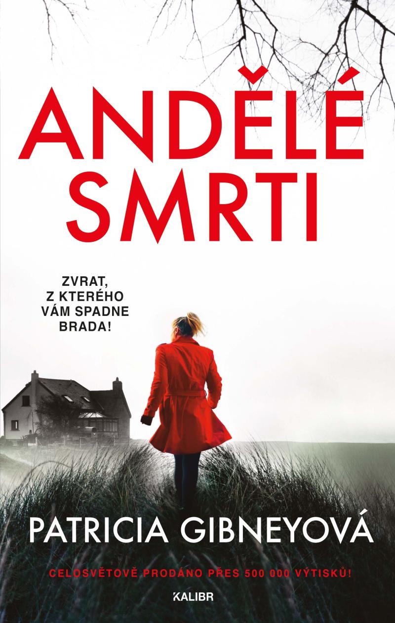 Obrázok Andělé smrti