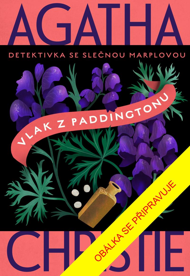 Obrázok Vlak z Paddingtonu