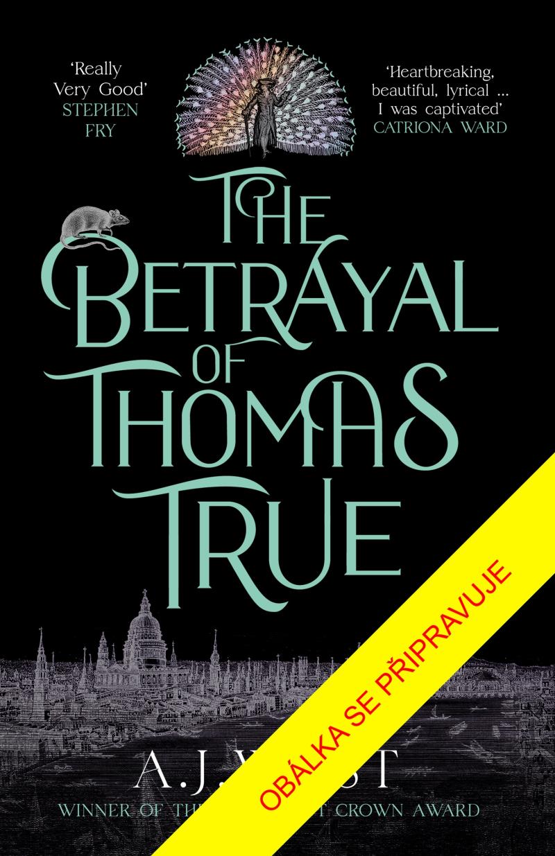 Obrázok Thomas True: Příběh zrady