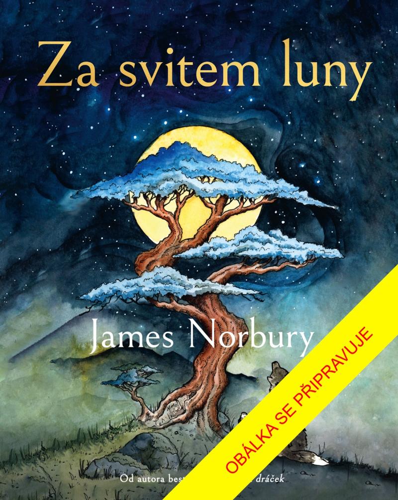 Obrázok Za svitem luny