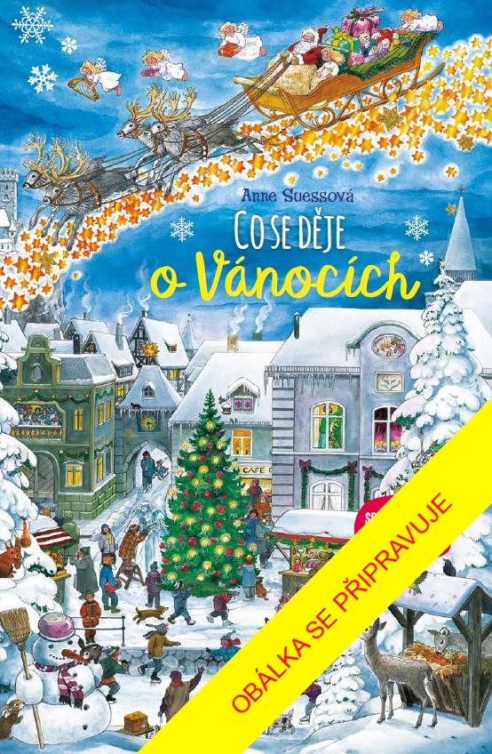 Obrázok Co se děje o Vánocích