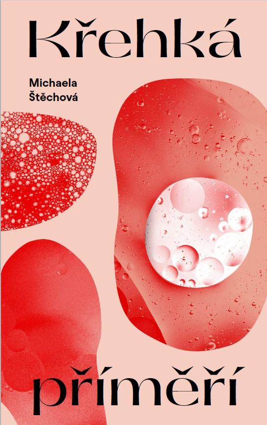 Obrázok Křehká příměří