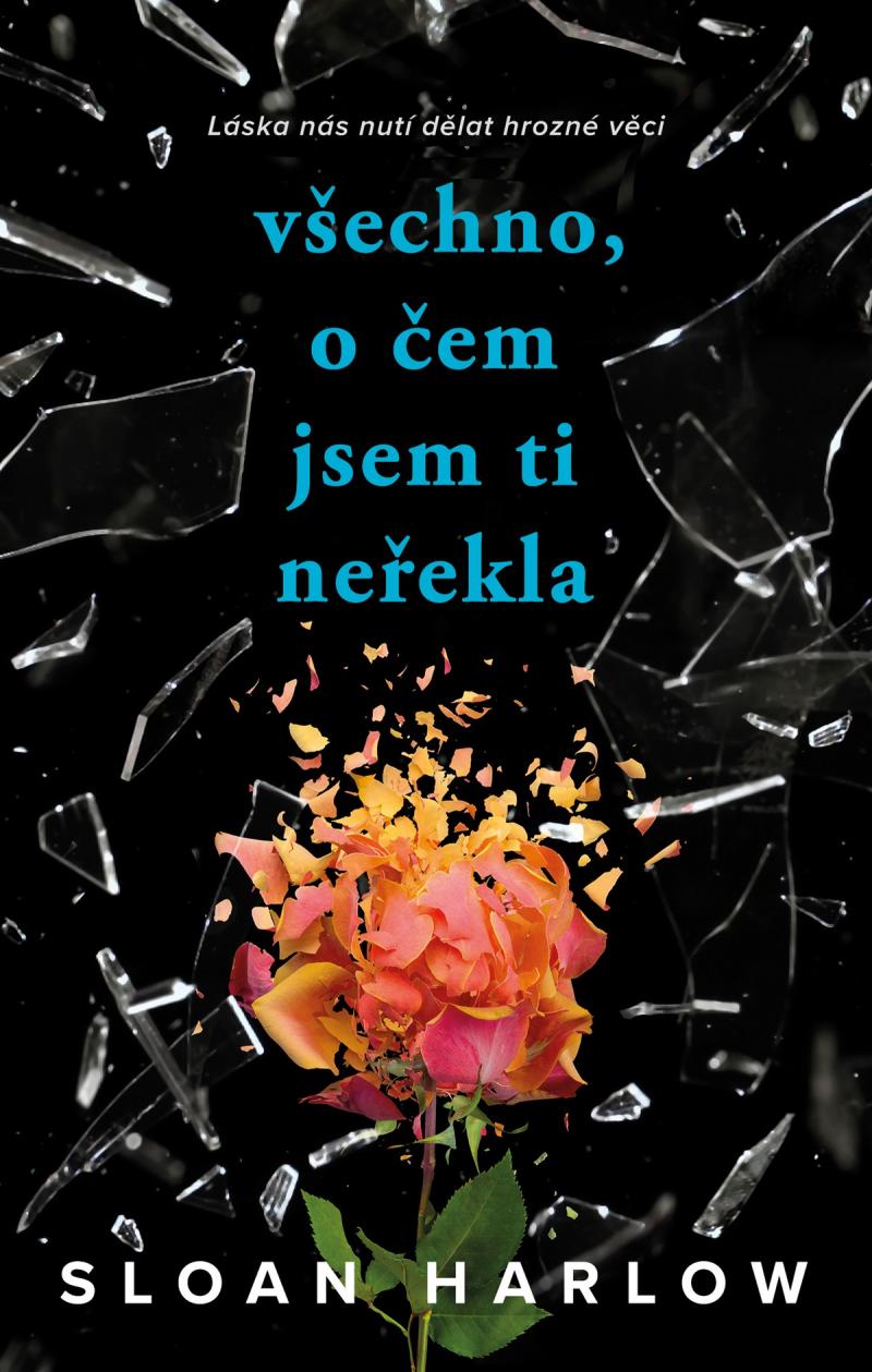 Obrázok Všechno, o čem jsem ti neřekla