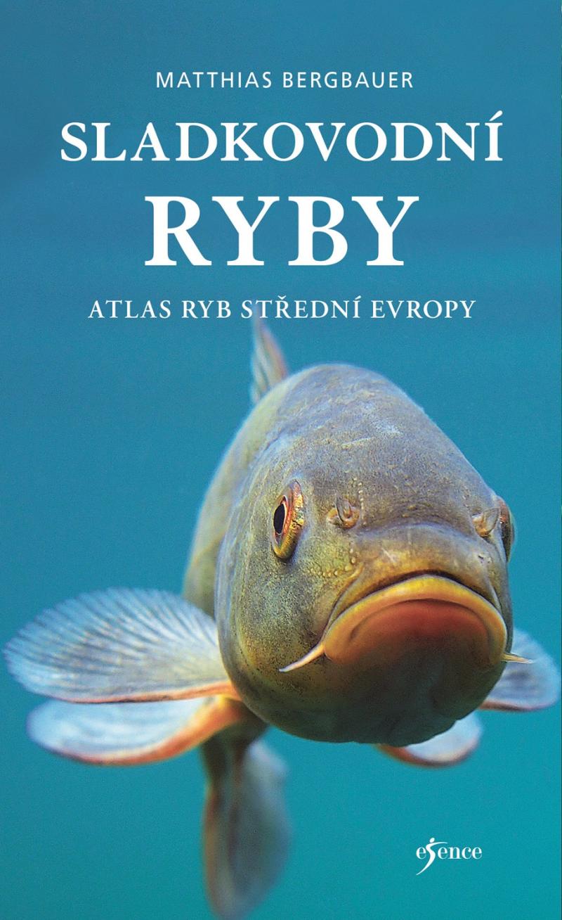 Obrázok Sladkovodní ryby