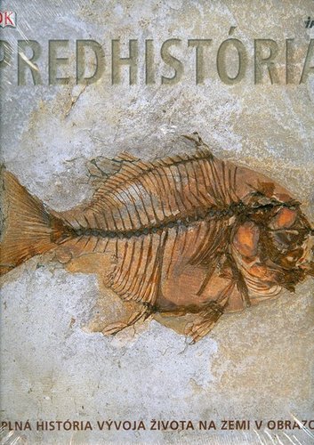 Obrázok Predhistória