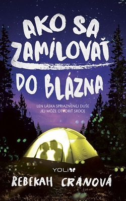 Obrázok Ako sa zamilovať do blázna
