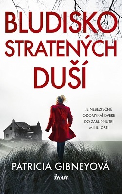 Obrázok Bludisko stratených duší