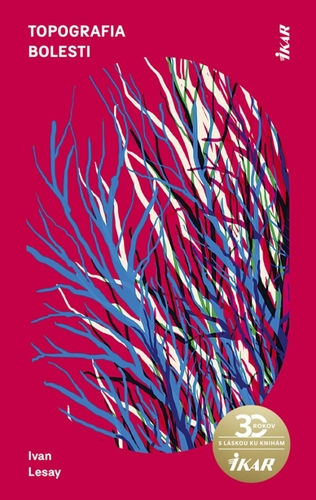 Obrázok Topografia bolesti