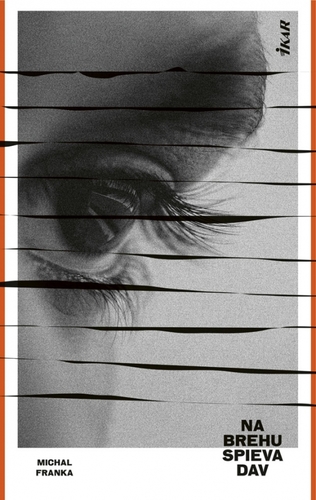 Obrázok Na brehu spieva dav