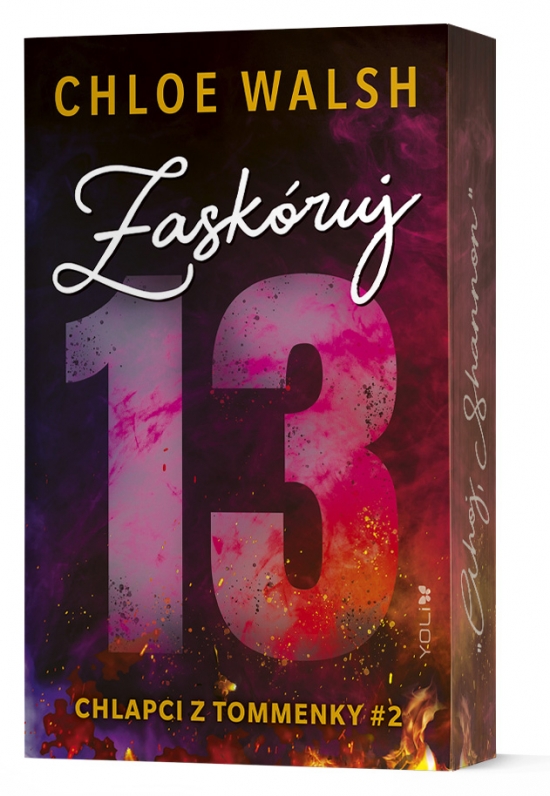 Obrázok Zaskóruj 13