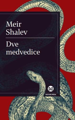 Obrázok Dve medvedice