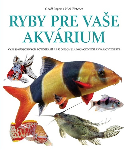 Obrázok Ryby pre vaše akvárium