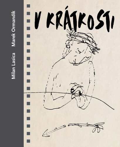 Obrázok V krátkosti