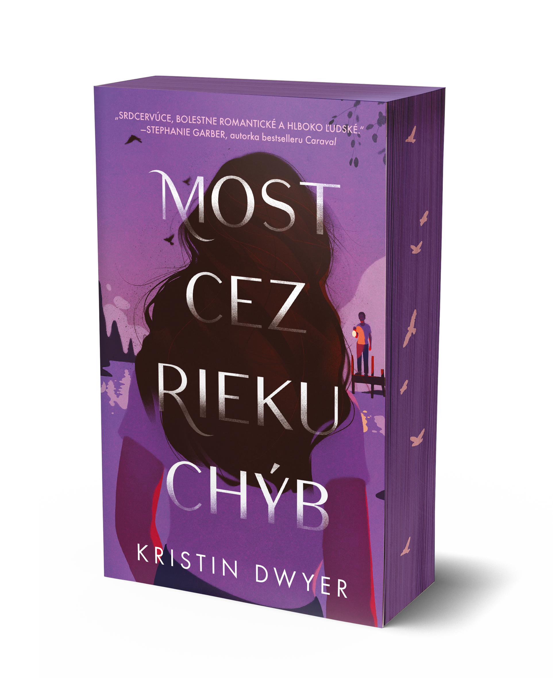 Obrázok Most cez rieku chýb