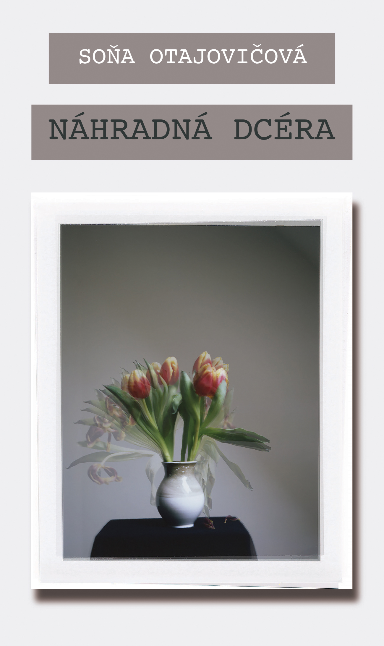 Obrázok Náhradná dcéra