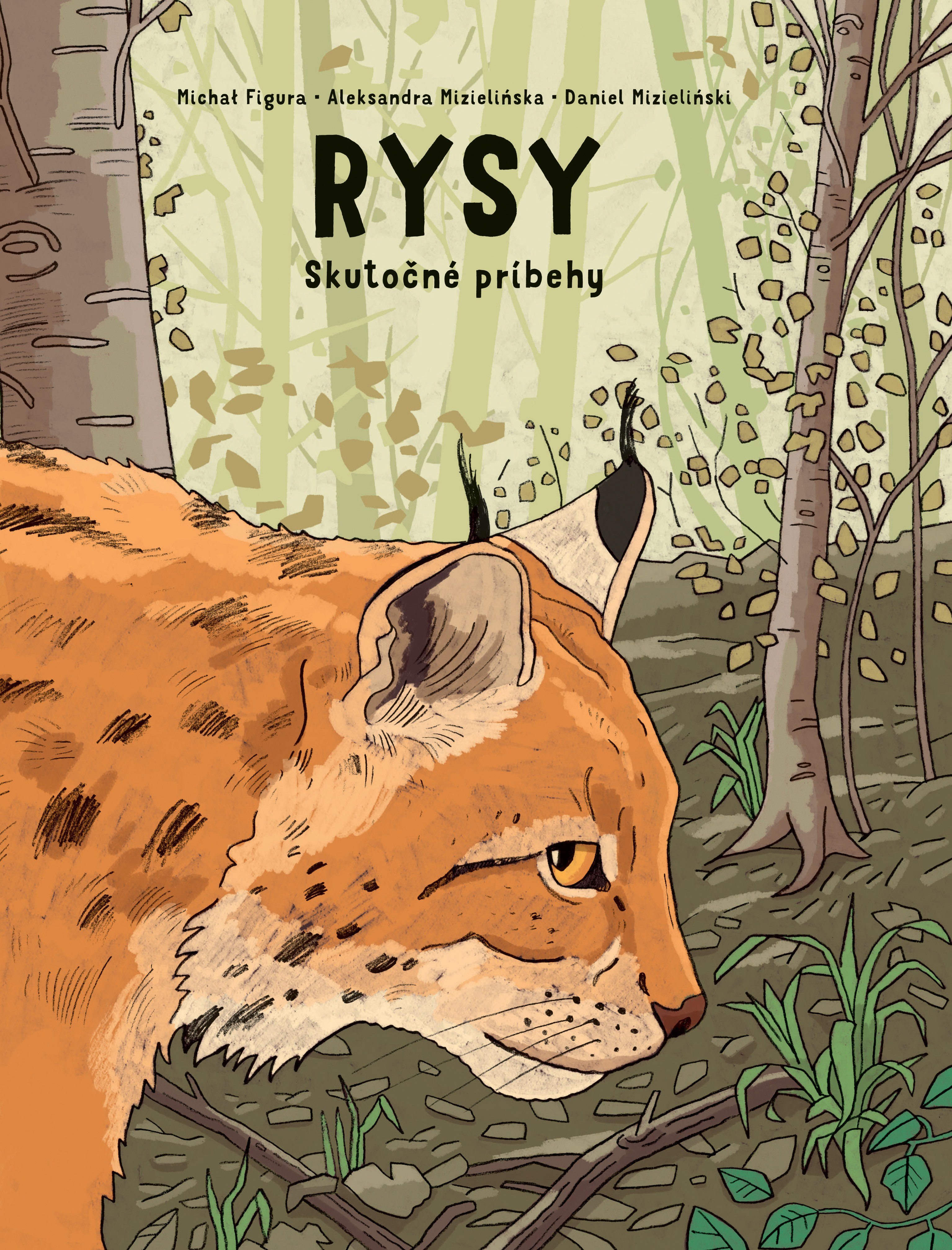 Obrazok Rysy