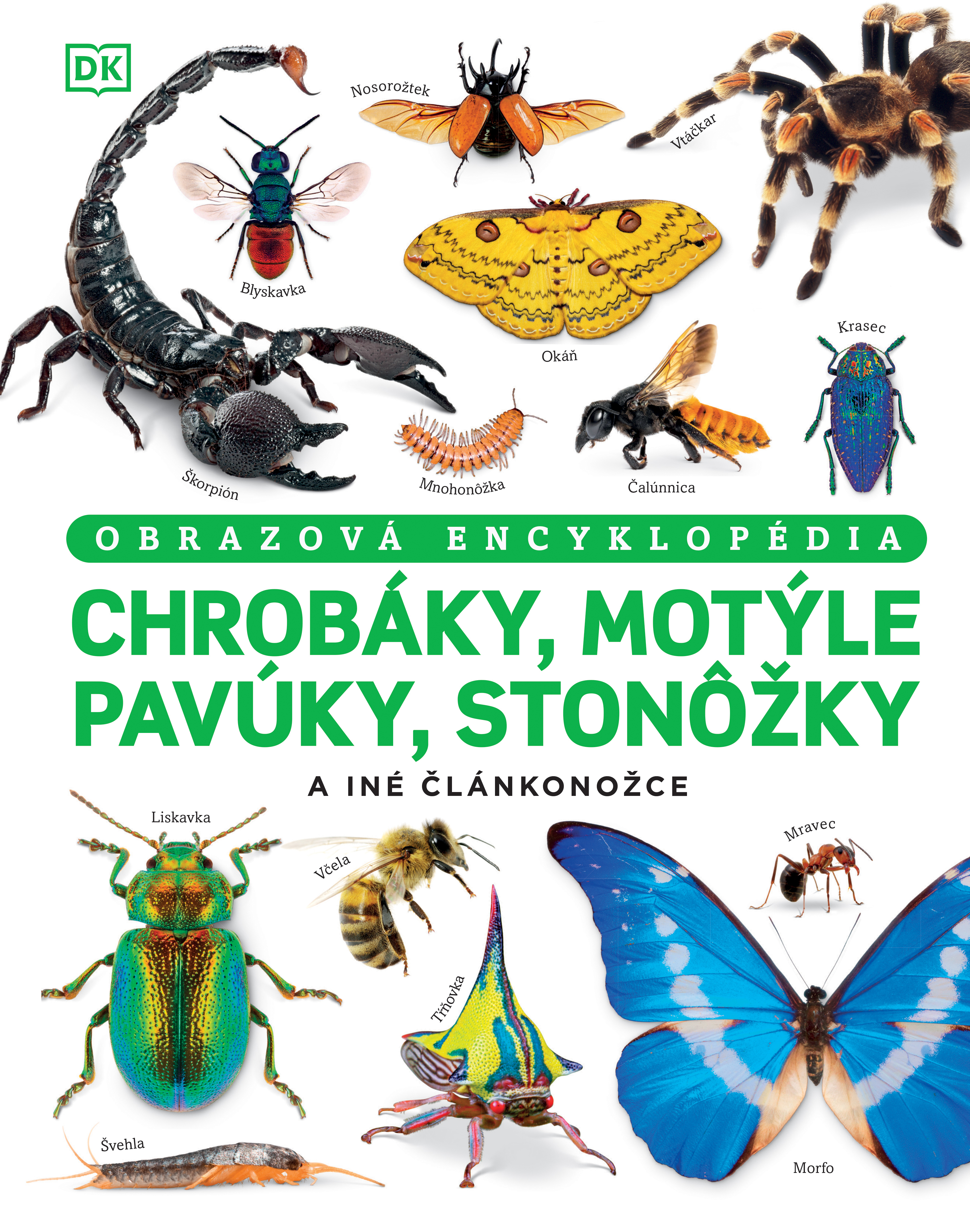 Obrazok Chrobáky, motýle, pavúky, stonôžky a iné článkonožce