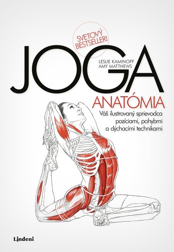 Obrázok JOGA - anatómia
