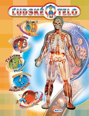 Obrázok Ľudské telo