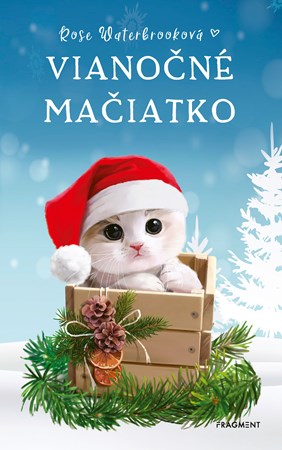 Obrázok Vianočné mačiatko