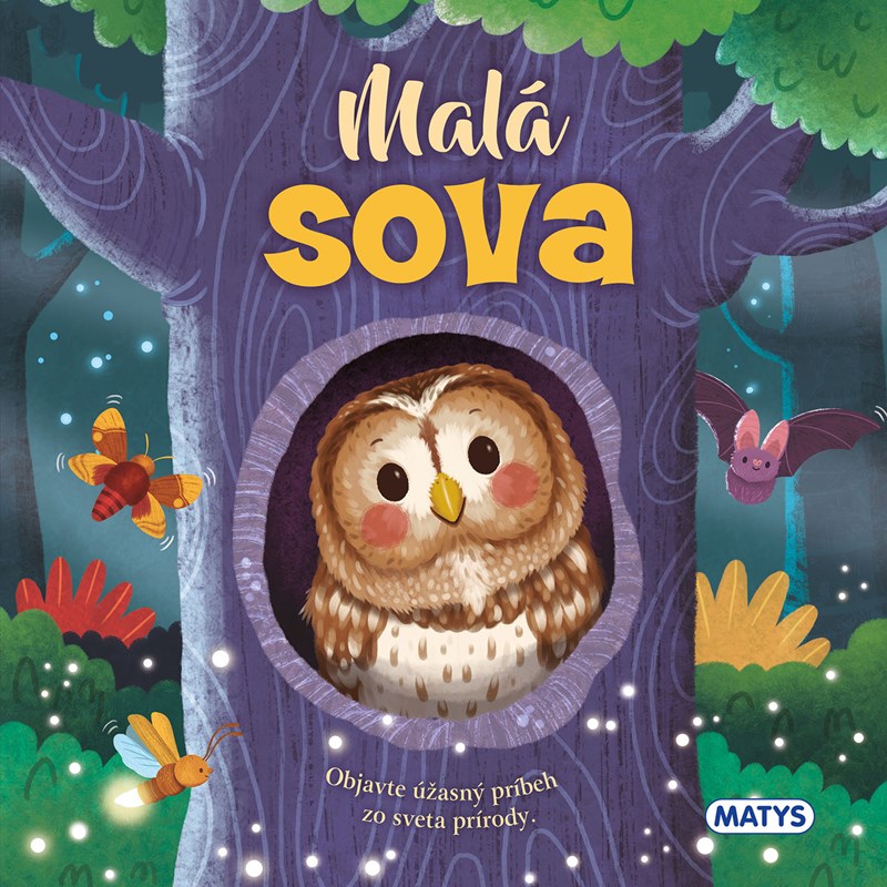Obrazok Malá sova