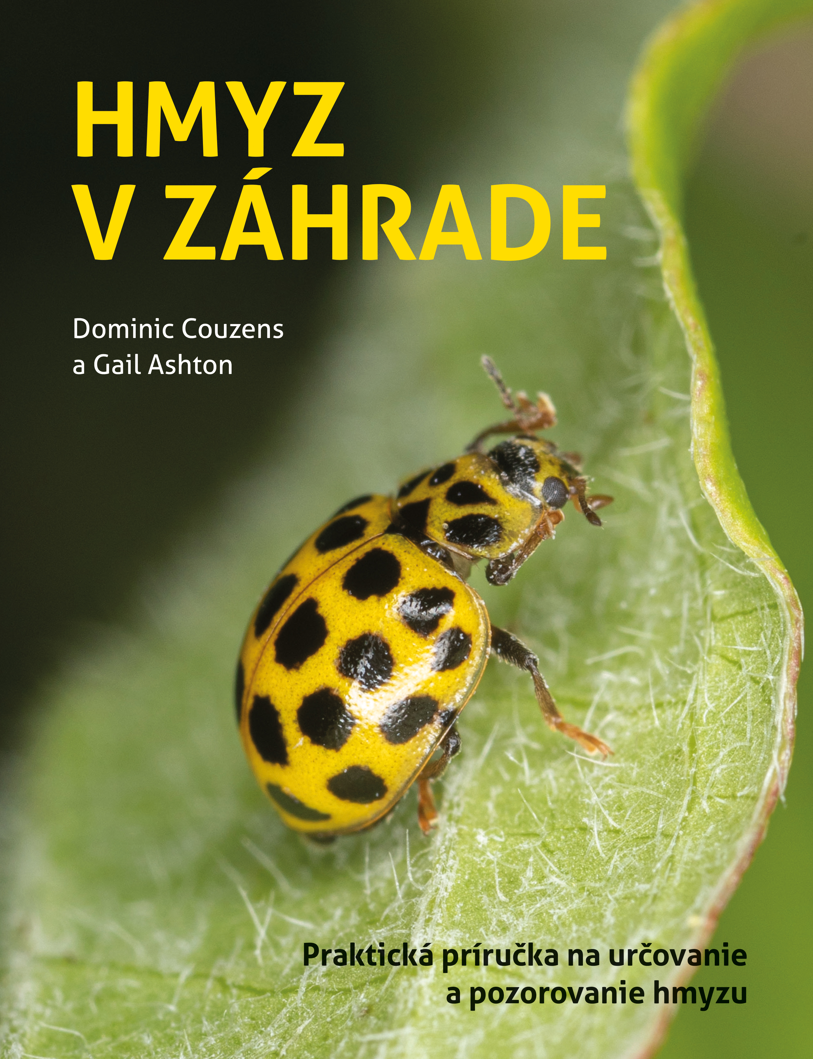 Obrázok Hmyz v záhrade