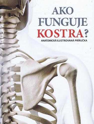 Obrázok Ako funguje kostra ?