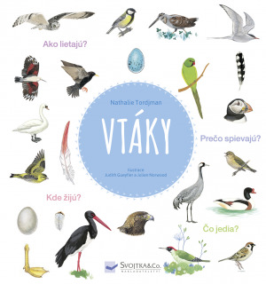Obrázok Vtáky