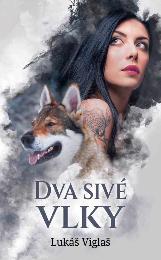 Obrázok Dva sivé vlky