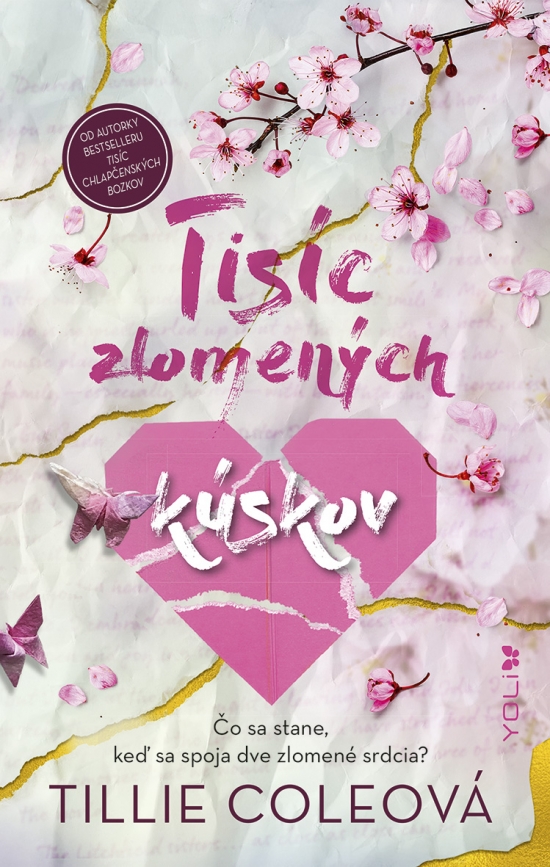 Obrazok Tisíc zlomených kúskov