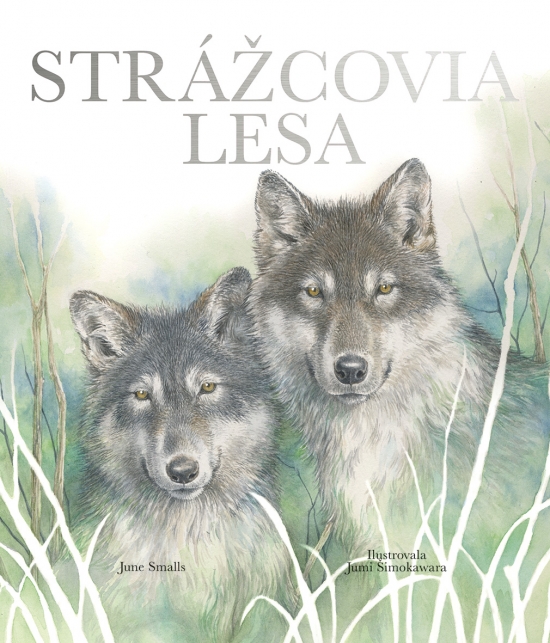 Obrazok Strážcovia lesa