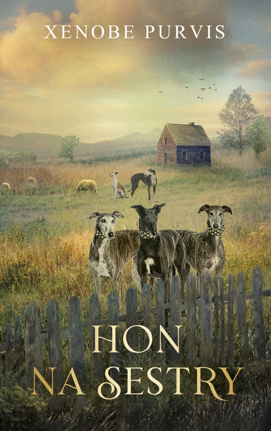 Obrazok Hon na sestry